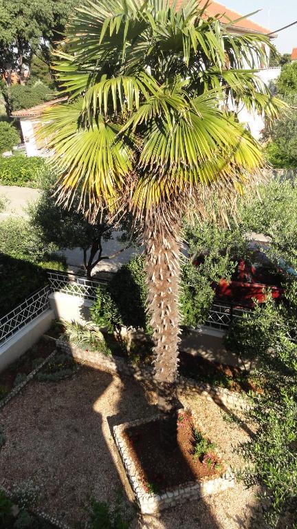 Guest Accommodation Neno Zadar Exterior foto